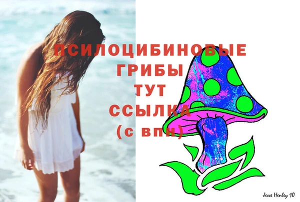 сатива Алексеевка
