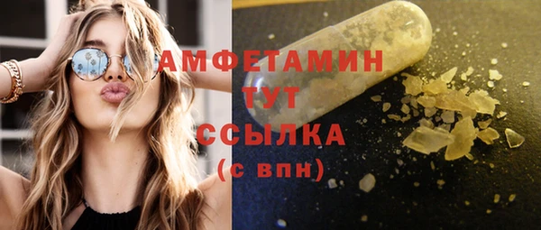 гашик Алексин