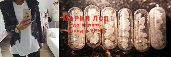 сатива Алексеевка